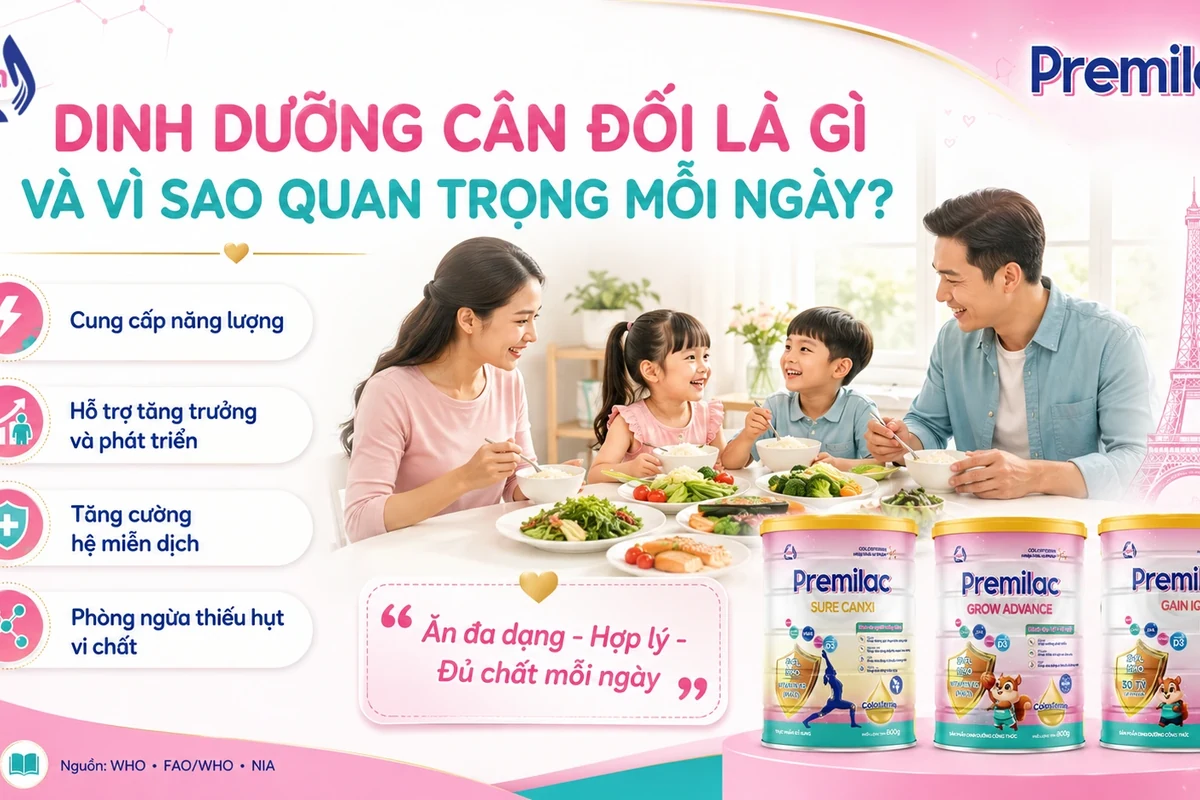 Bữa ăn cân đối cho người trưởng thành: đơn giản nhưng bền vững
