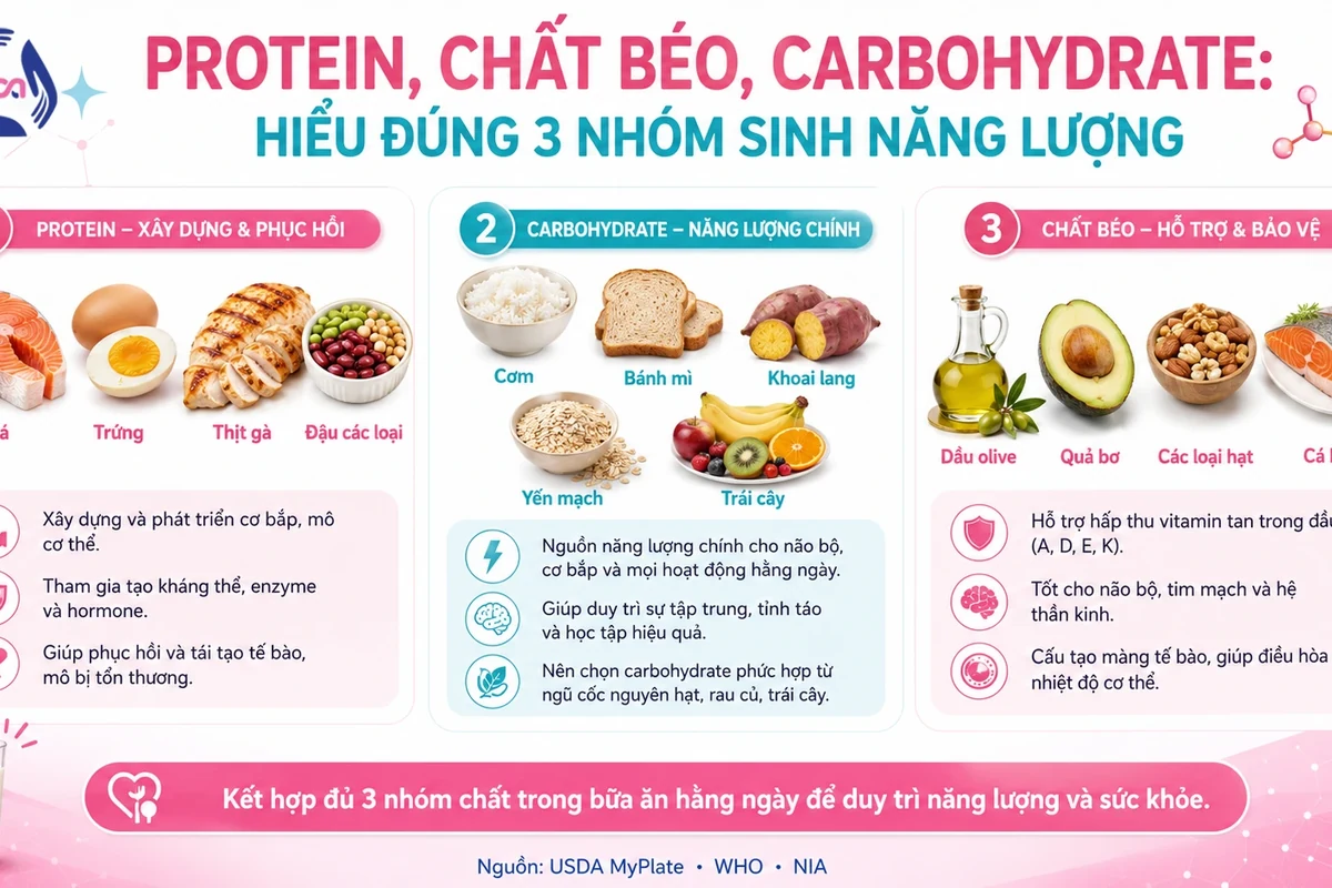 Protein và khối cơ: vì sao người lớn tuổi cần chú ý hơn?