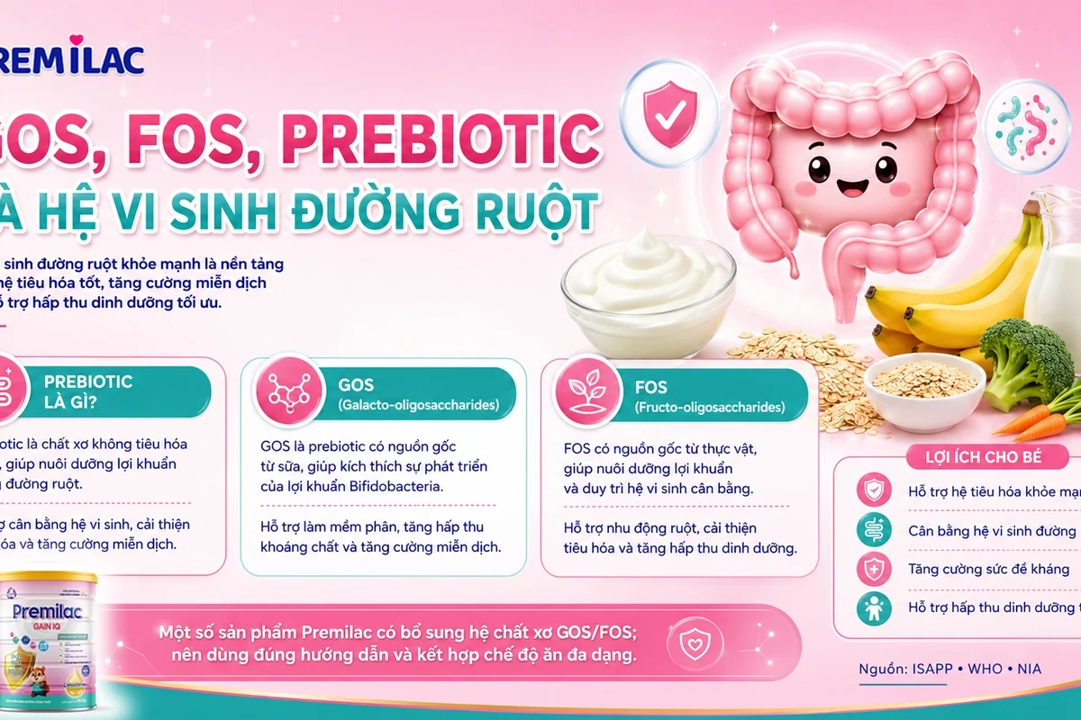 Chất xơ, nước và vận động: bộ ba hỗ trợ nhịp tiêu hóa hằng ngày