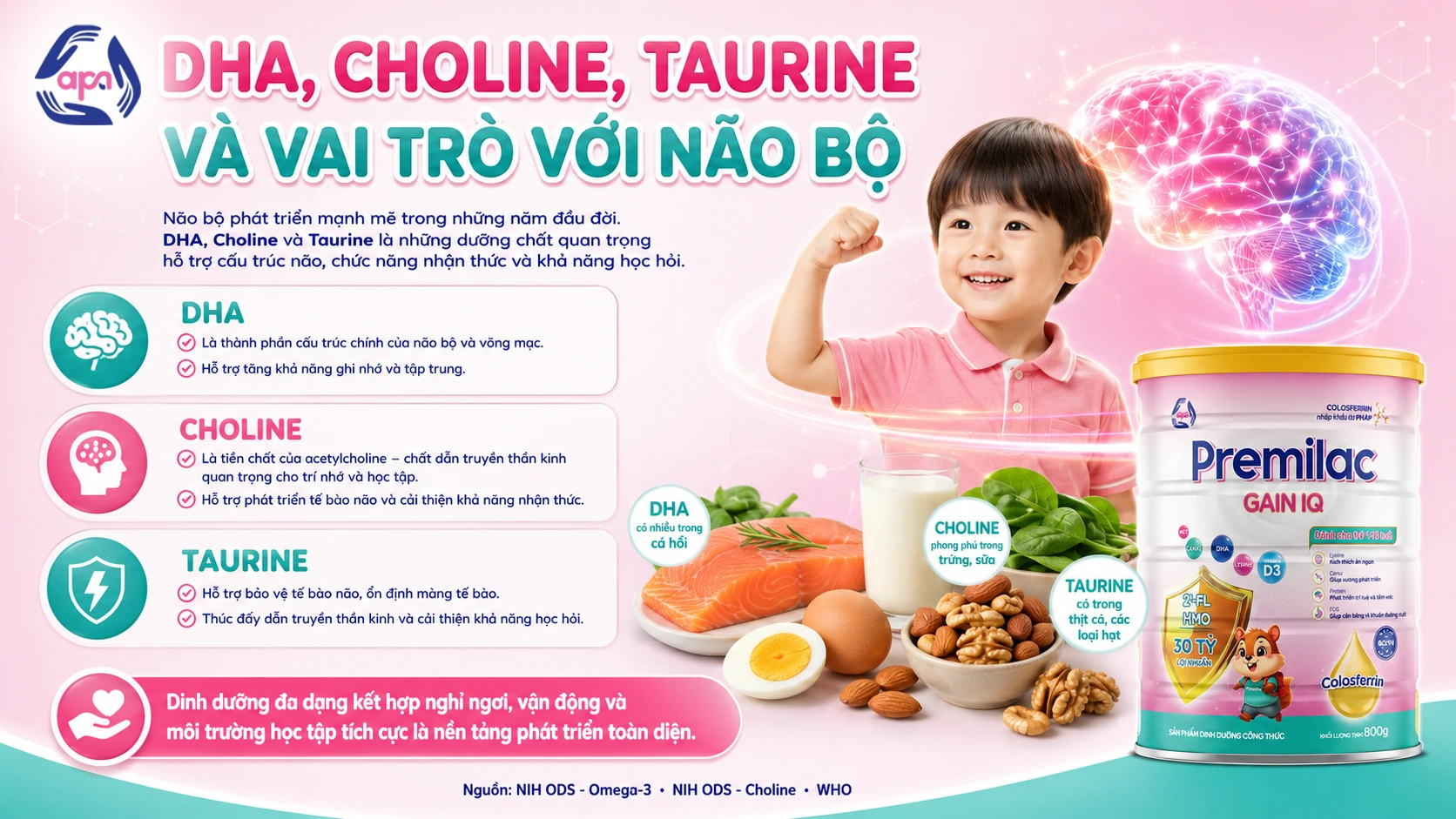 DHA, choline, taurine và vai trò với não bộ